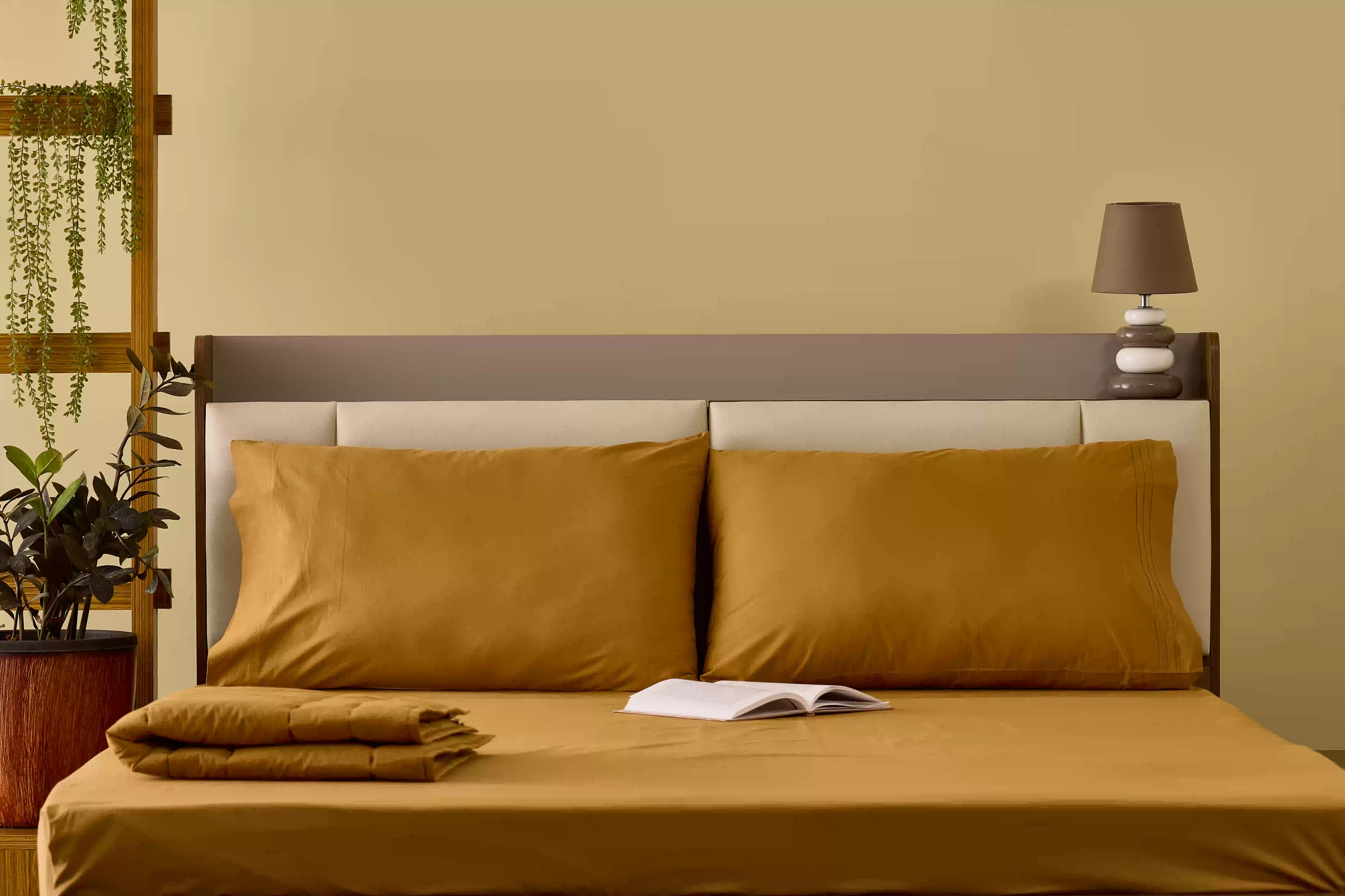 Sheet